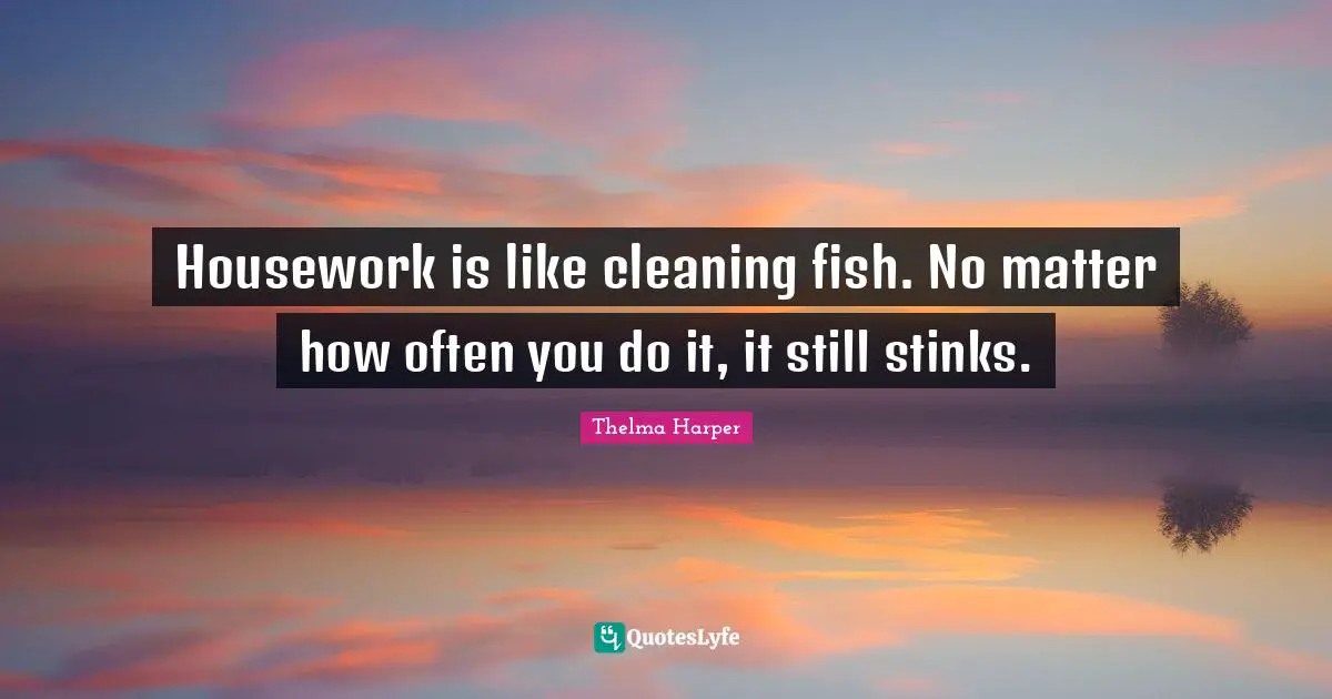 Housework is like cleaning fish. No matter how often you do it, it still stinks.
