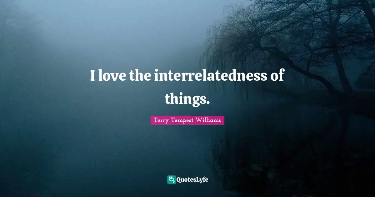 I love the interrelatedness of things.