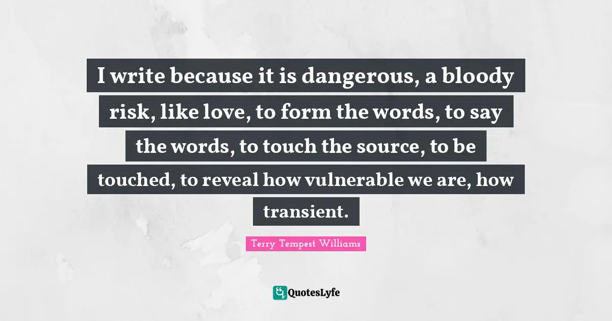 I write because it is dangerous, a bloody risk, like love, to form the words, to say the words, to touch the source, to be touched, to reveal how vulnerable we are, how transient.