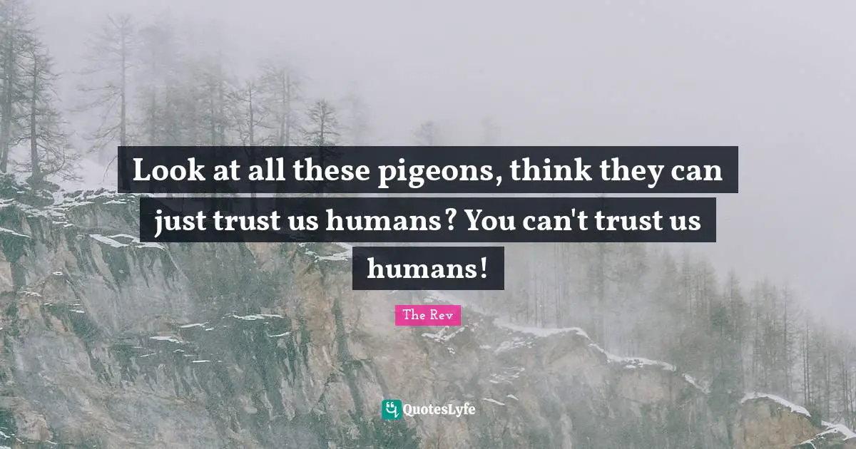Look at all these pigeons, think they can just trust us humans? You can't trust us humans!