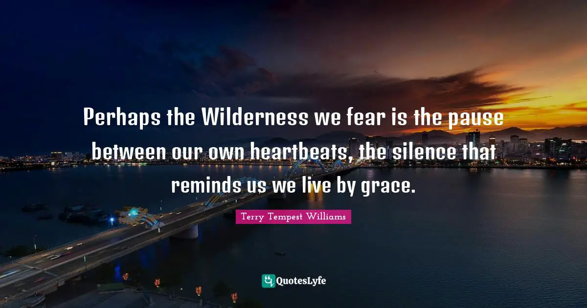 Perhaps the Wilderness we fear is the pause between our own heartbeats, the silence that reminds us we live by grace.