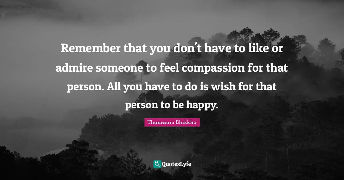 Remember that you don't have to like or admire someone to feel compassion for that person. All you have to do is wish for that person to be happy.