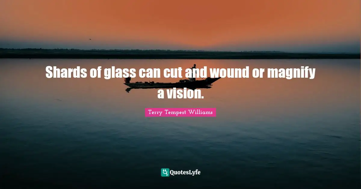 Shards of glass can cut and wound or magnify a vision.