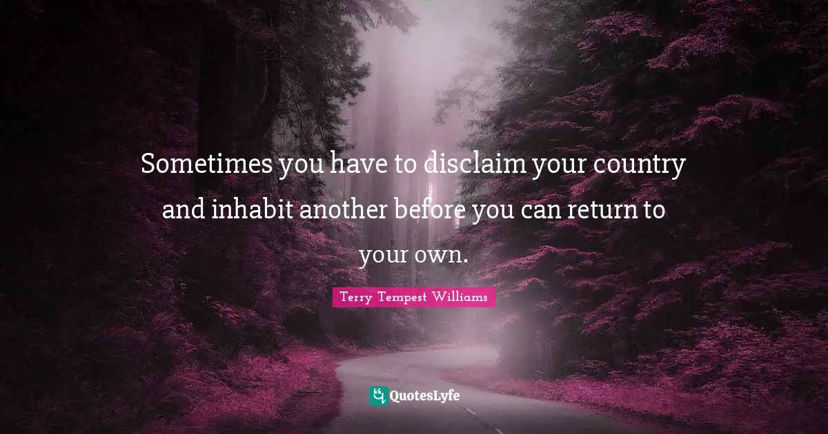 Sometimes you have to disclaim your country and inhabit another before you can return to your own.