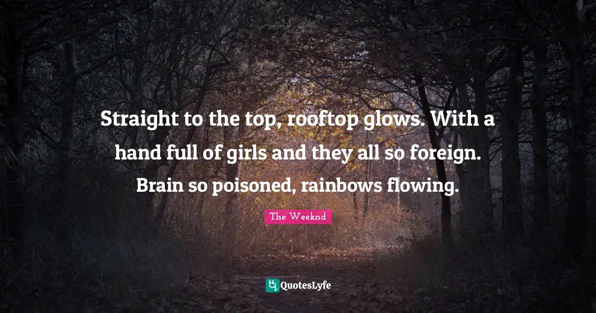 Rainbow Quotes: "Straight to the top, rooftop glows. With a hand full of girls and they all so foreign. Brain so poisoned, rainbows flowing."