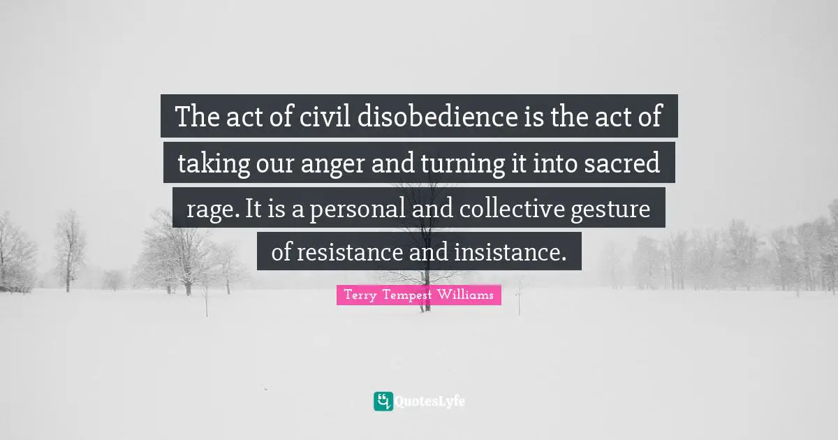 The act of civil disobedience is the act of taking our anger and turning it into sacred rage. It is a personal and collective gesture of resistance and insistance.