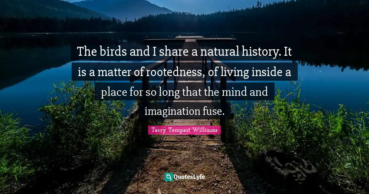 The birds and I share a natural history. It is a matter of rootedness, of living inside a place for so long that the mind and imagination fuse.