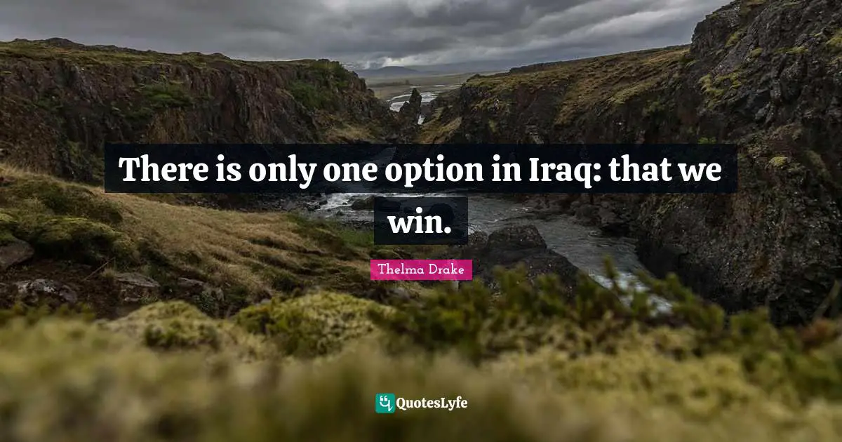 There is only one option in Iraq: that we win.