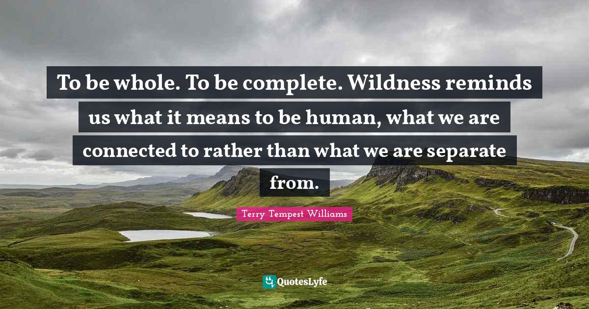 To be whole. To be complete. Wildness reminds us what it means to be human, what we are connected to rather than what we are separate from.