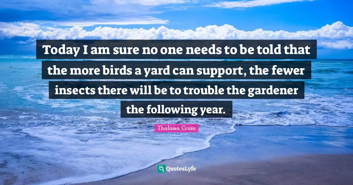 Today I am sure no one needs to be told that the more birds a yard can support, the fewer insects there will be to trouble the gardener the following year.