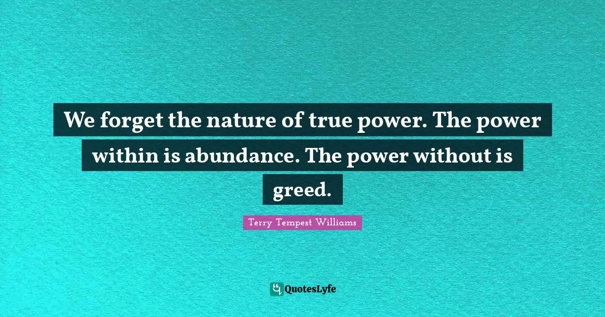 We forget the nature of true power. The power within is abundance. The power without is greed.