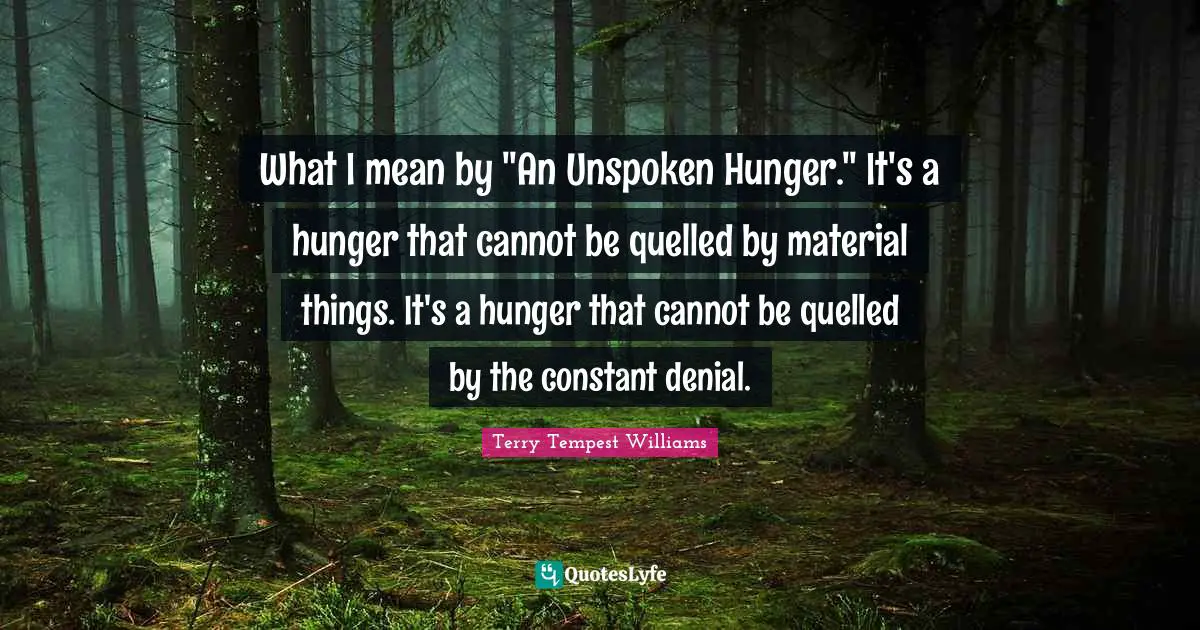 What I mean by "An Unspoken Hunger." It's a hunger that cannot be quelled by material things. It's a hunger that cannot be quelled by the constant denial.