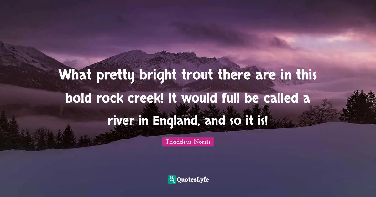 What pretty bright trout there are in this bold rock creek! It would full be called a river in England, and so it is!