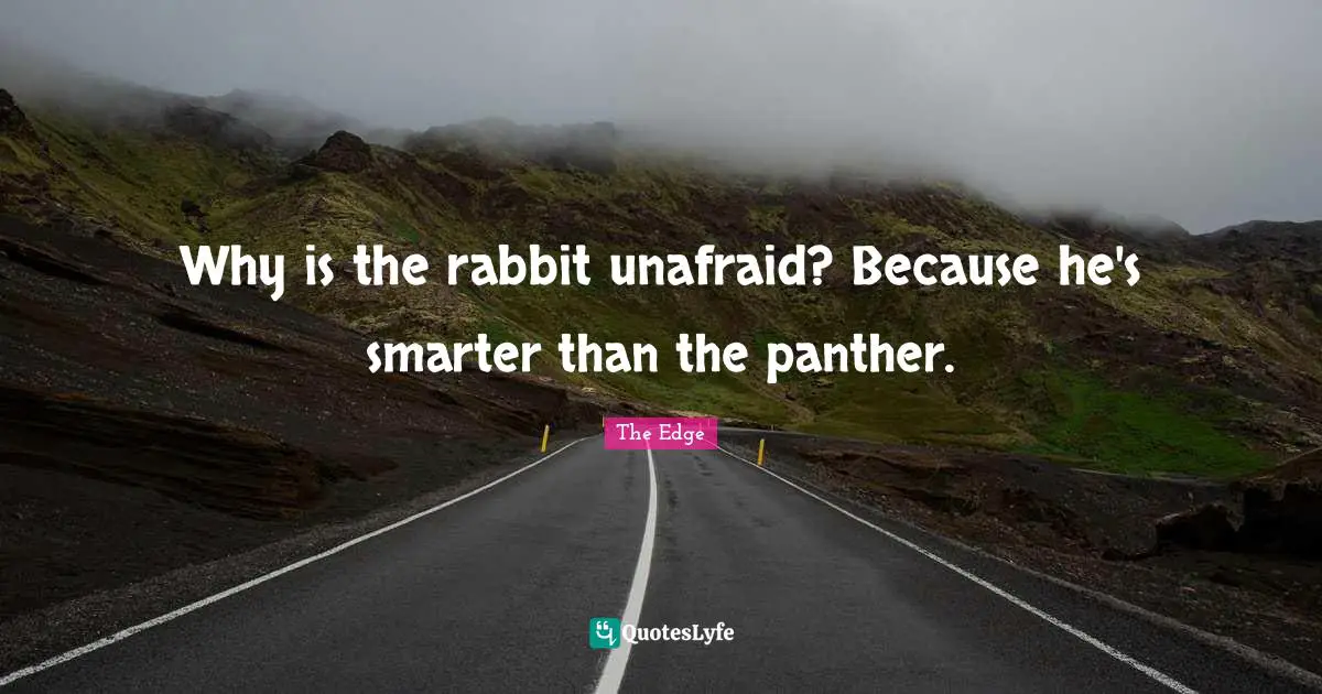 Unafraid Quotes: "Why is the rabbit unafraid? Because he's smarter than the panther."