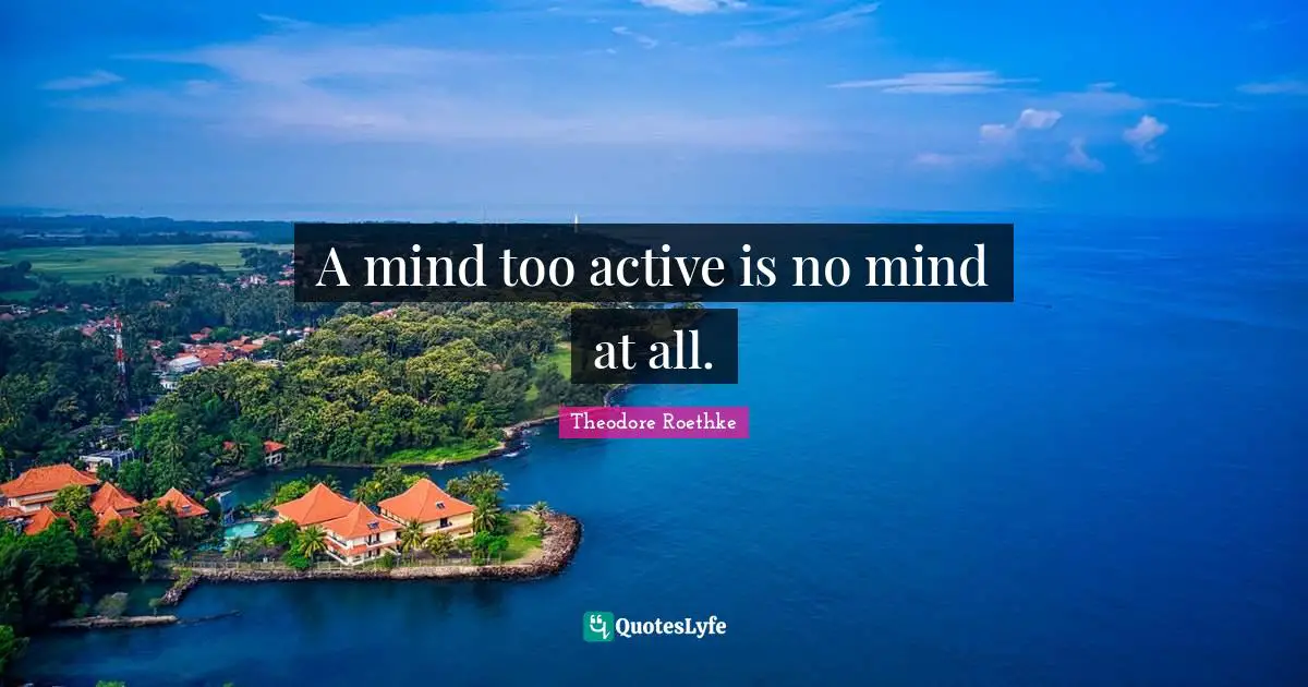 Theodore Roethke Quotes: "A mind too active is no mind at all."