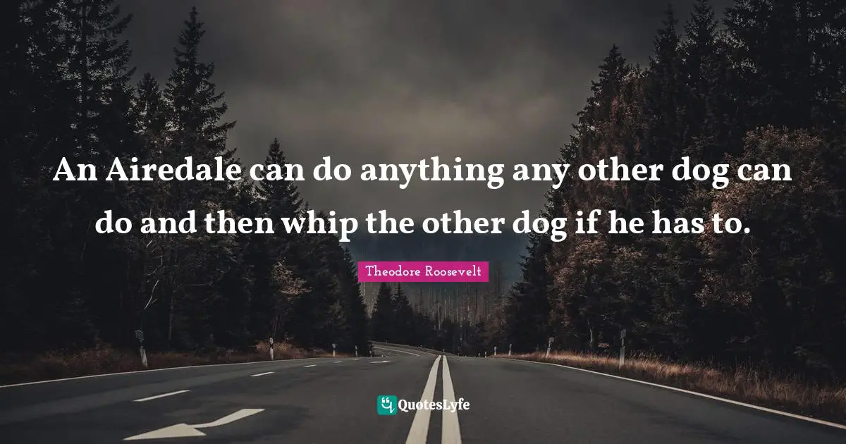 An Airedale can do anything any other dog can do and then whip the other dog if he has to.