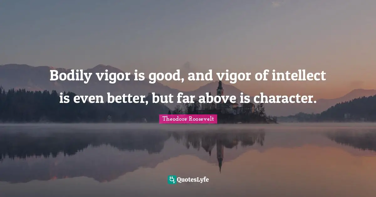 Vigor Quotes: "Bodily vigor is good, and vigor of intellect is even better, but far above is character."