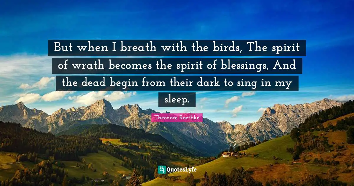 Theodore Roethke Quotes: "But when I breath with the birds, The spirit of wrath becomes the spirit of blessings, And the dead begin from their dark to sing in my sleep."