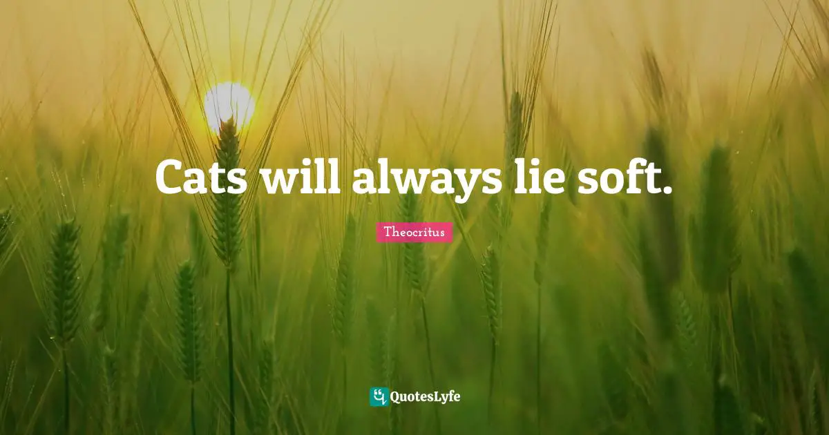 Cats will always lie soft.