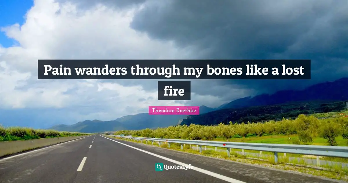 Pain wanders through my bones like a lost fire