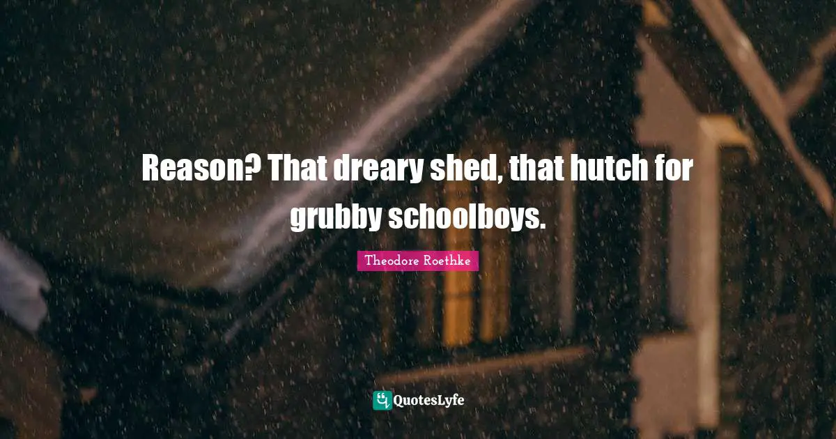 Theodore Roethke Quotes: "Reason? That dreary shed, that hutch for grubby schoolboys."
