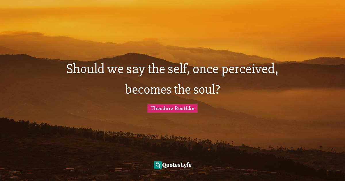 Theodore Roethke Quotes: "Should we say the self, once perceived, becomes the soul?"