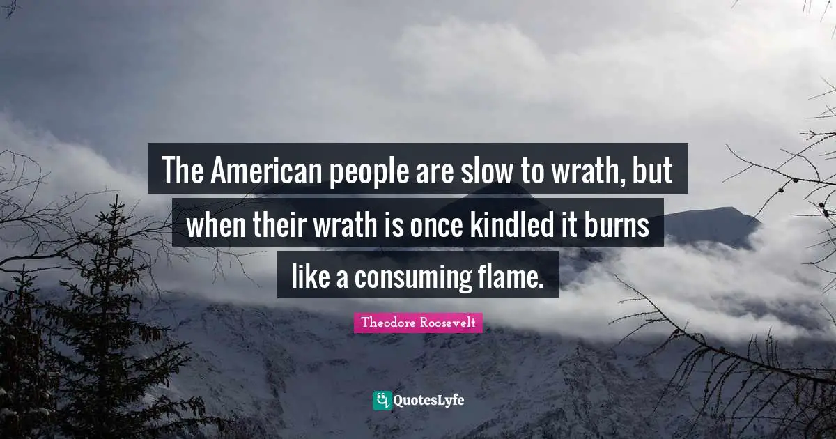The American people are slow to wrath, but when their wrath is once kindled it burns like a consuming flame.
