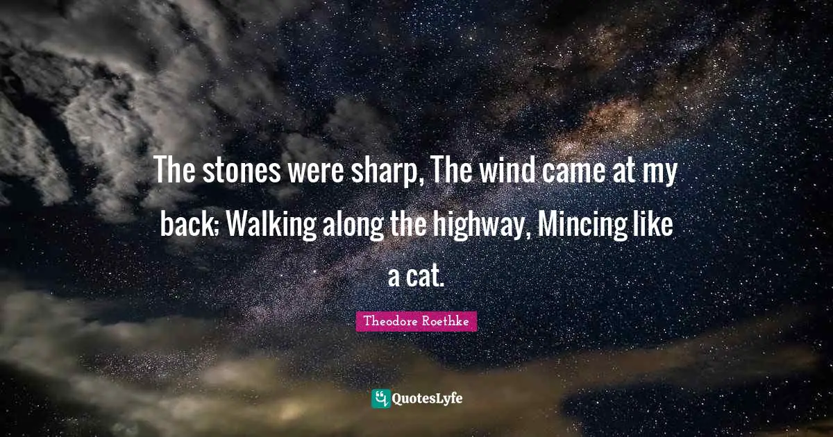 Theodore Roethke Quotes: "The stones were sharp, The wind came at my back; Walking along the highway, Mincing like a cat."