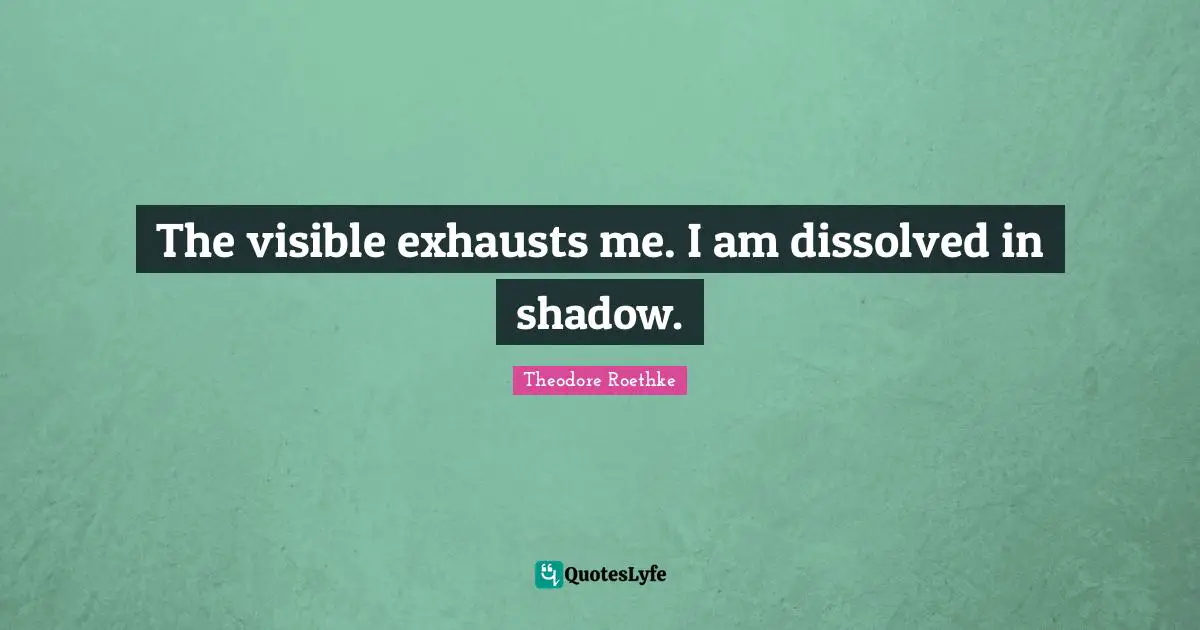 Theodore Roethke Quotes: "The visible exhausts me. I am dissolved in shadow."