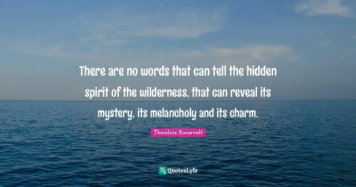 Melancholy Quotes: "There are no words that can tell the hidden spirit of the wilderness, that can reveal its mystery, its melancholy and its charm."