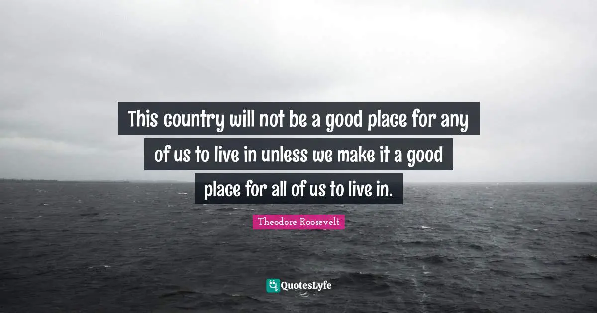 Theodore Roosevelt Quotes: This country will not be a good place for any of us to live in unless we make it a good place for all of us to live in.