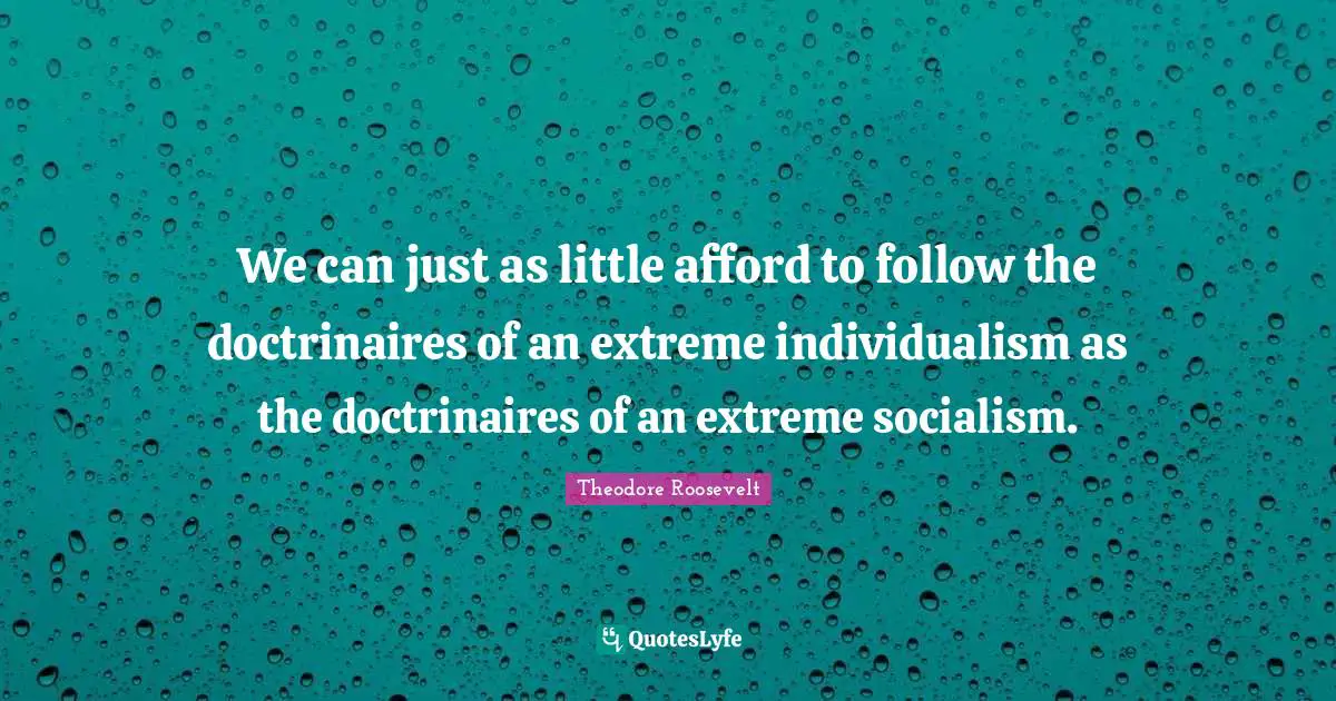 We can just as little afford to follow the doctrinaires of an extreme individualism as the doctrinaires of an extreme socialism.