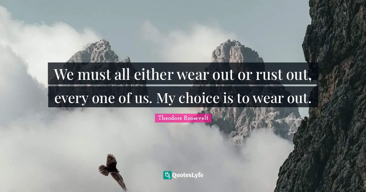 Rust Quotes: "We must all either wear out or rust out, every one of us. My choice is to wear out."