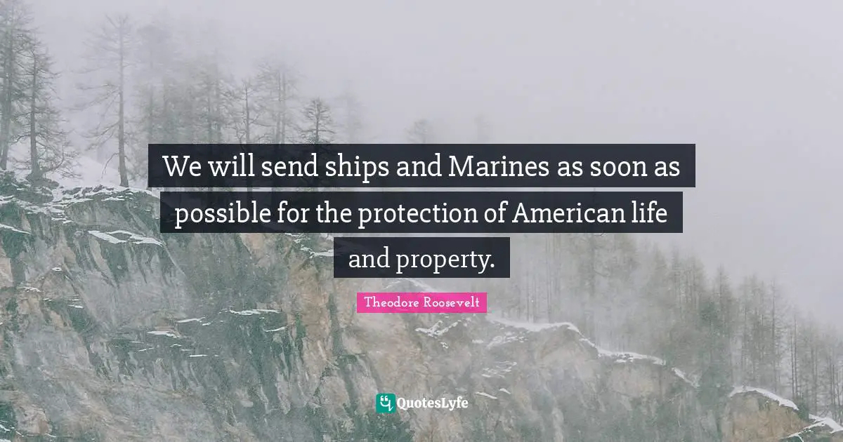 We will send ships and Marines as soon as possible for the protection of American life and property.