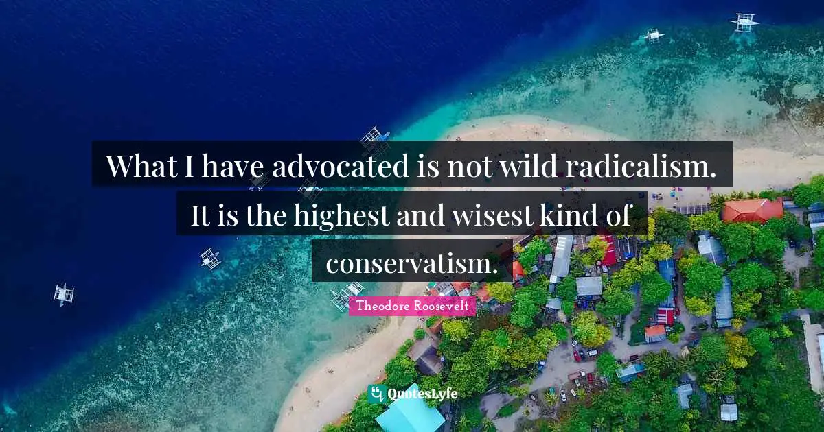What I have advocated is not wild radicalism. It is the highest and wisest kind of conservatism.