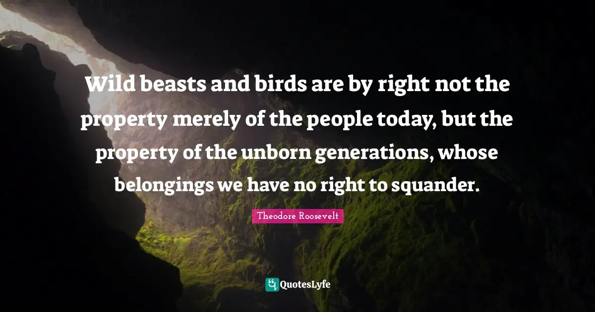Wild beasts and birds are by right not the property merely of the people today, but the property of the unborn generations, whose belongings we have no right to squander.