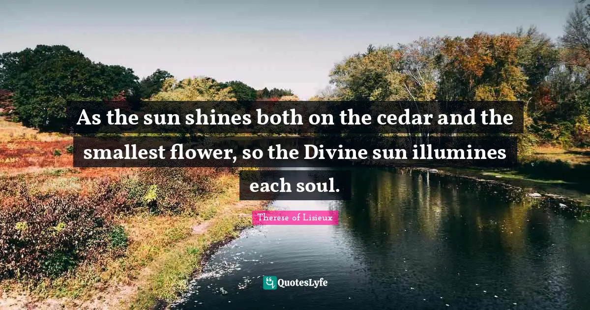 Sun Shines Quotes: "As the sun shines both on the cedar and the smallest flower, so the Divine sun illumines each soul."