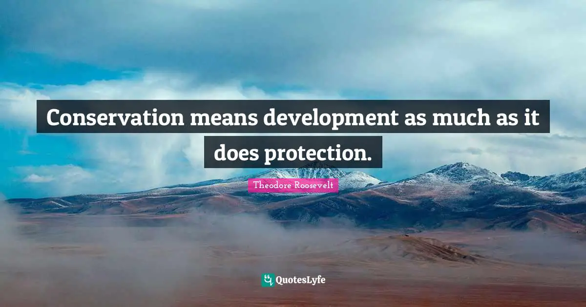 Conservation means development as much as it does protection.