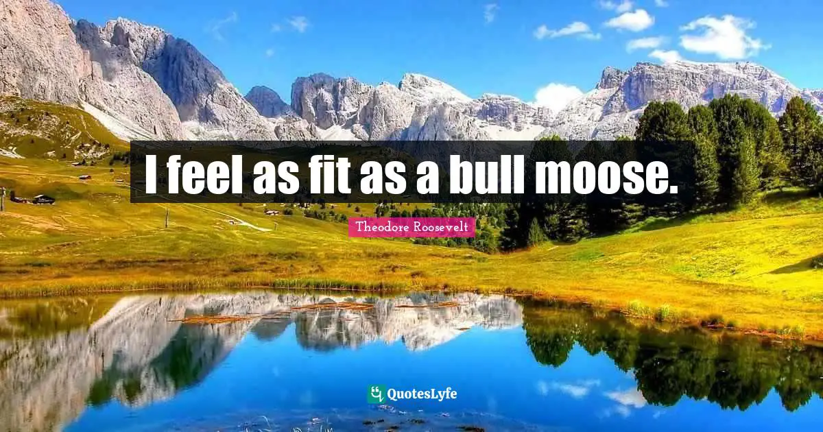 I feel as fit as a bull moose.