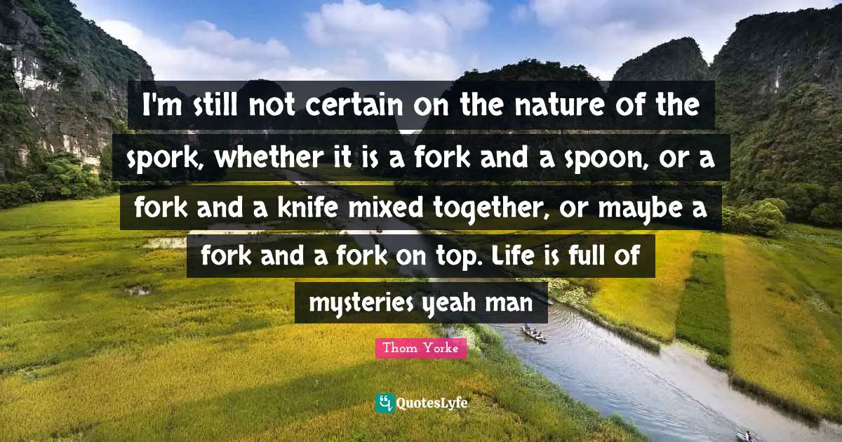 I'm still not certain on the nature of the spork, whether it is a fork and a spoon, or a fork and a knife mixed together, or maybe a fork and a fork on top. Life is full of mysteries yeah man