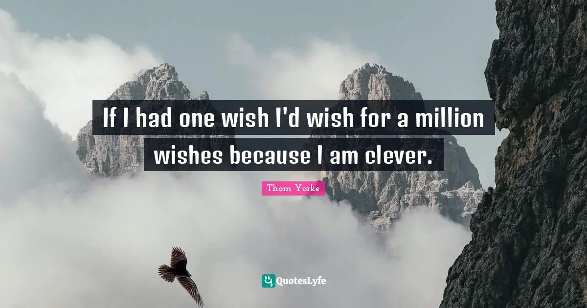 If I had one wish I'd wish for a million wishes because I am clever.