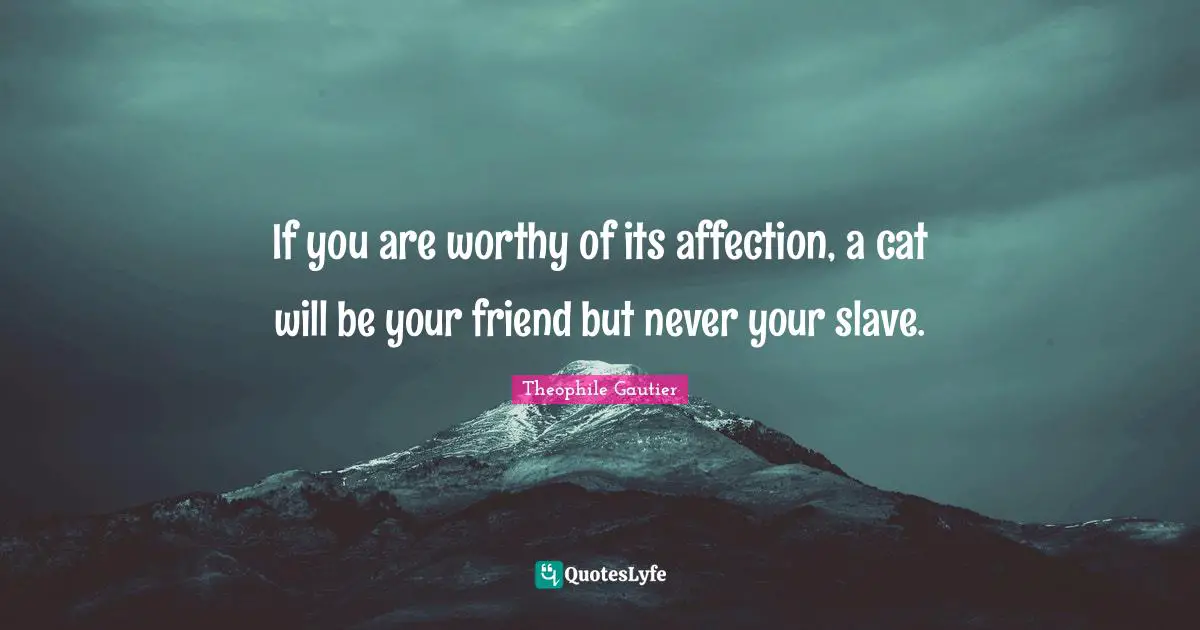 If you are worthy of its affection, a cat will be your friend but never your slave.