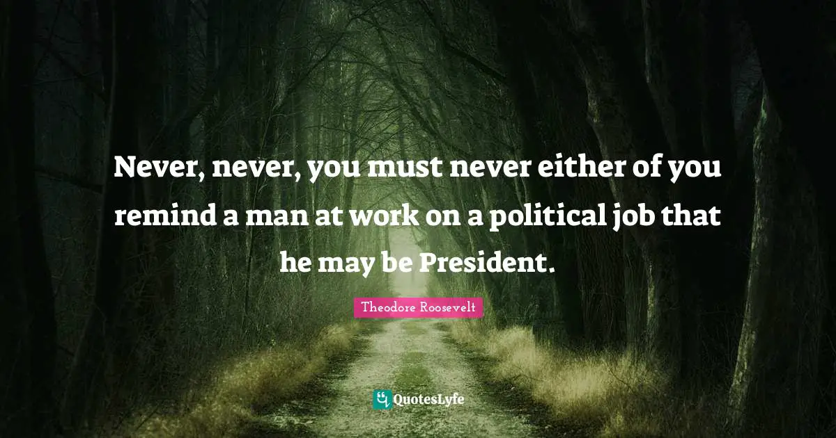 Never, never, you must never either of you remind a man at work on a political job that he may be President.