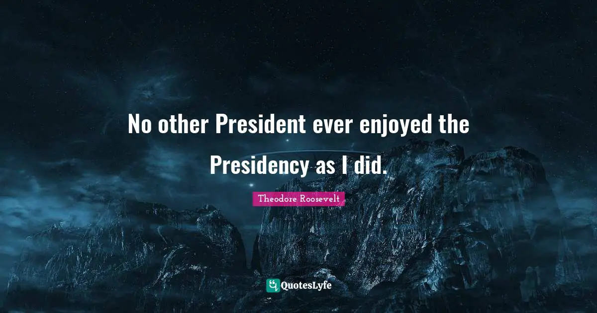 No other President ever enjoyed the Presidency as I did.