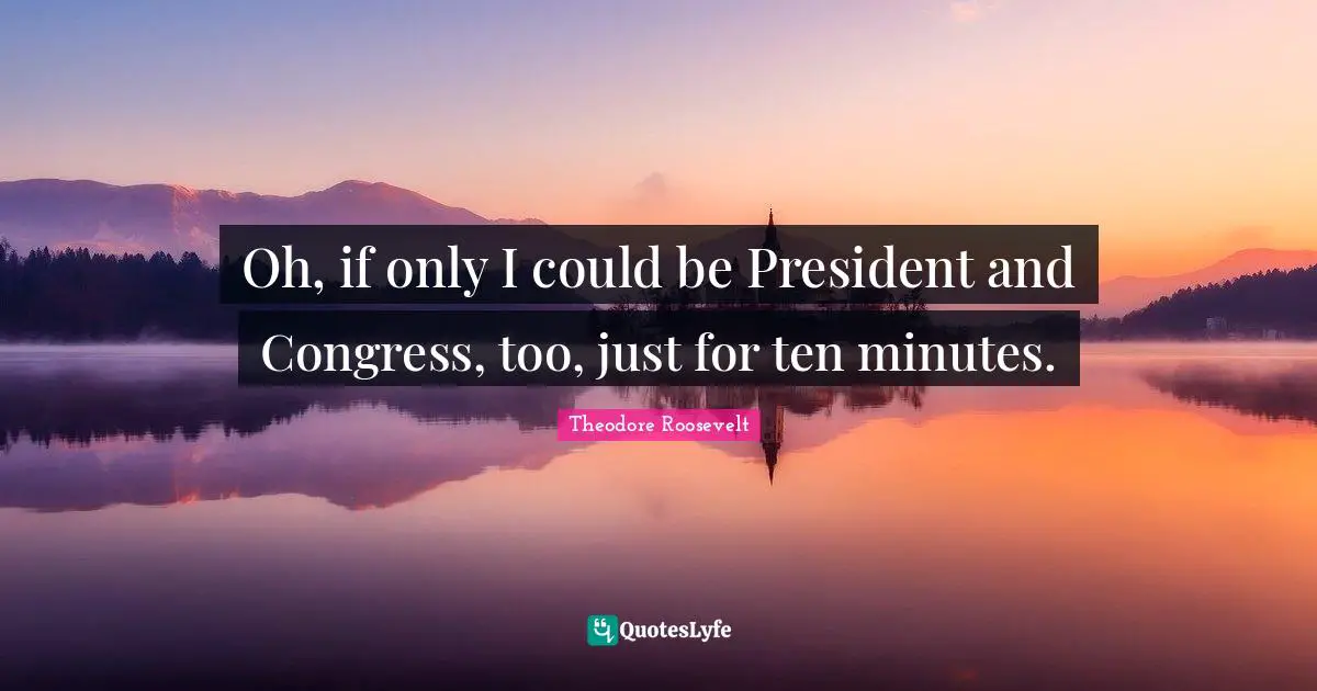 Oh, if only I could be President and Congress, too, just for ten minutes.