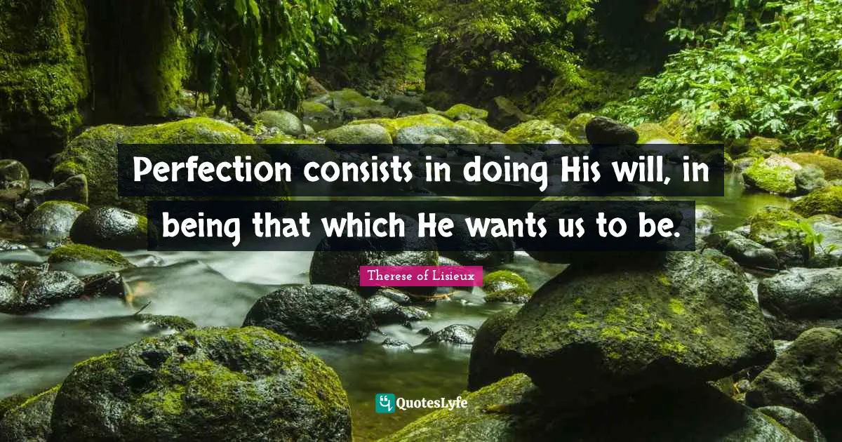 Perfection consists in doing His will, in being that which He wants us to be.