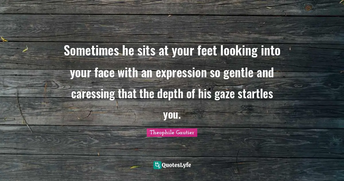 Sometimes he sits at your feet looking into your face with an expression so gentle and caressing that the depth of his gaze startles you.