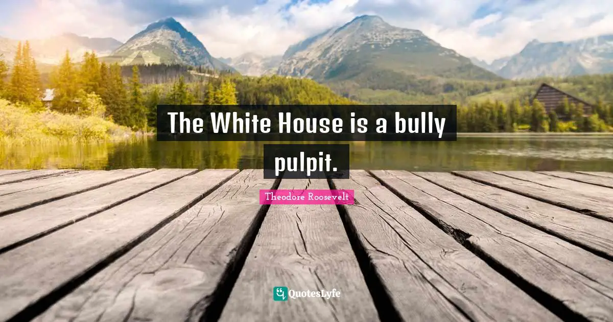 The White House is a bully pulpit.