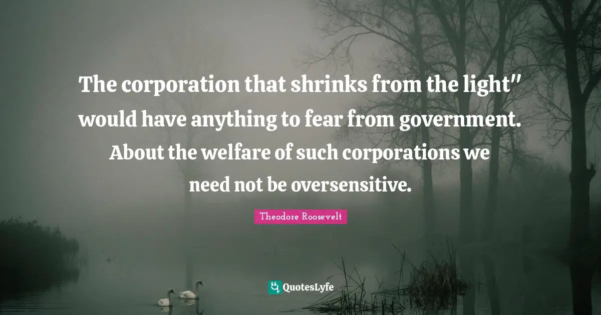The corporation that shrinks from the light" would have anything to fear from government. About the welfare of such corporations we need not be oversensitive.