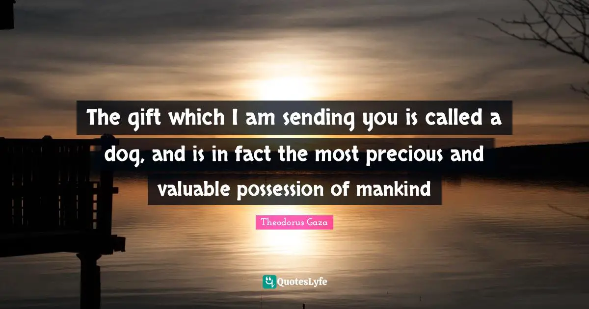 Pet Quotes: "The gift which I am sending you is called a dog, and is in fact the most precious and valuable possession of mankind"